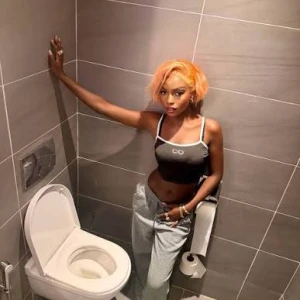 SE